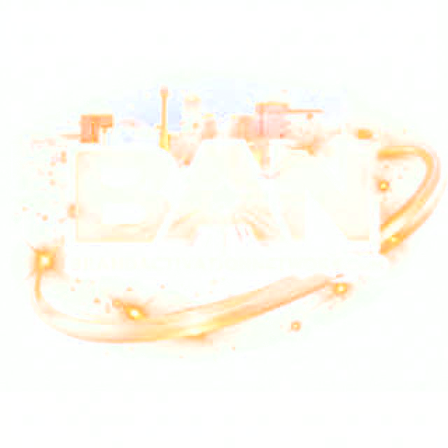 Brand Activation Network Logo